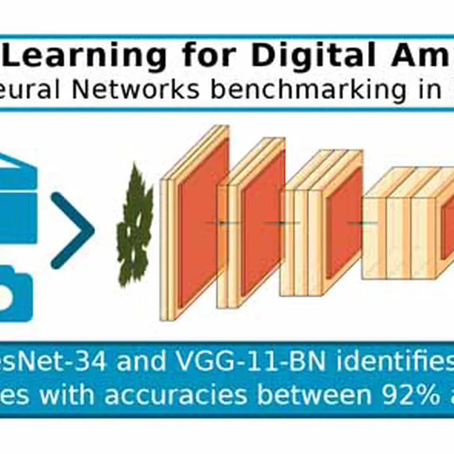Toward Grapevine Digital Ampelometry Through Vision Deep Learning Models