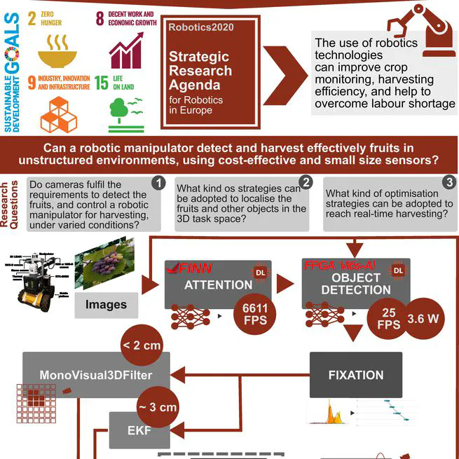 Harvesting with active perception for open-field agricultural robotics