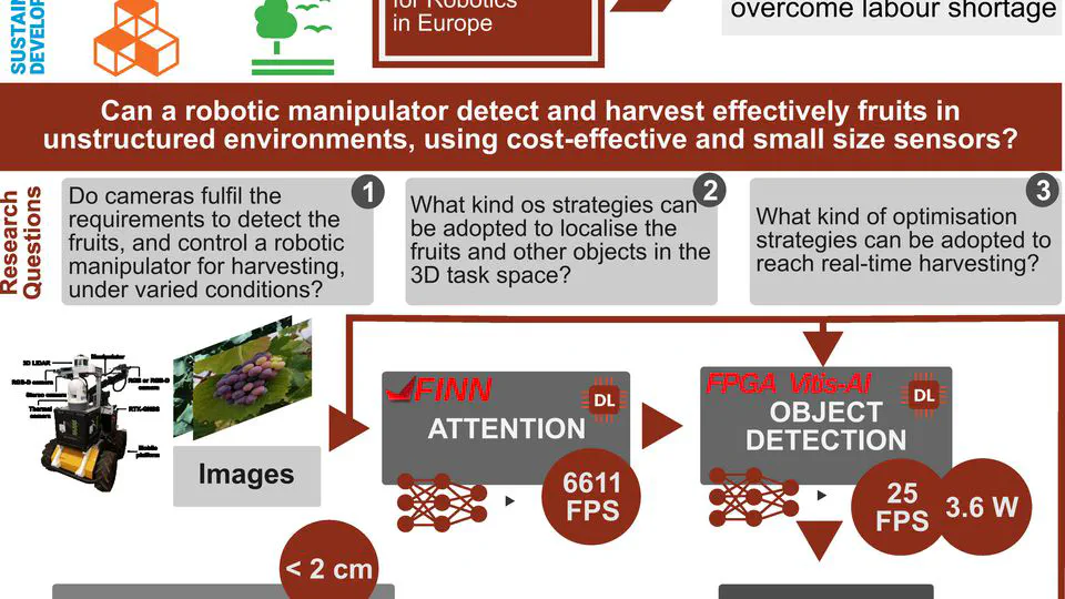 Harvesting with active perception for open-field agricultural robotics